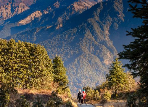 Ghandruk Village Trekking